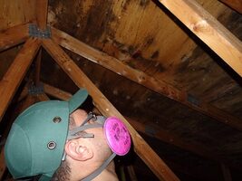 Attic Sheathing Remediations