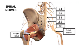 Sciatica Pain Relief – Sciatica Treatment