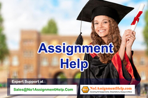 Cheap Assignment Help By An Expert At No1AssignmentHelp.Com