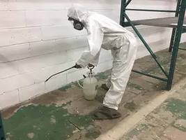 Get Comprehensive Mold Removal Toronto