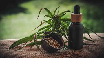 THE CBD BLOGS