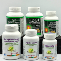 Digestive Support Supplements