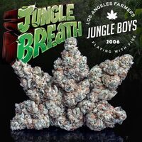 jungle boys motor breath