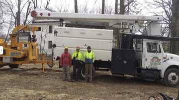 Tree Removal