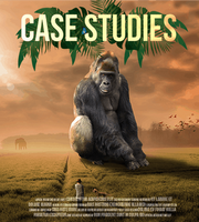 Video Case Studies