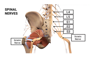 Sciatica Pain Treatment