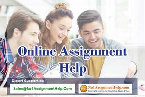 Professional Assignment Help Get At No1AssignmentHelp.Com