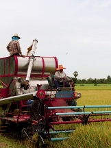 Brands,  Businesses, Places & Professionals N & R Feed And Supply in Harrah OK