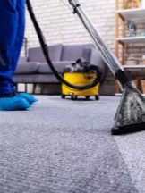 Brands,  Businesses, Places & Professionals Kiwiland Carpet Cleaning in Burswood Auckland