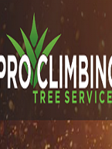 Pro Climbing Tree Services