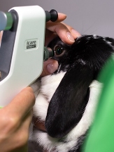 Marine and Fraser Veterinary Clinic