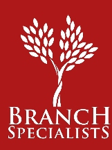 Brands,  Businesses, Places & Professionals Branch Specialists Tree Service Buffalo NY in  