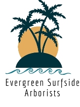 Evergreen Surfside Arborists