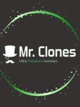 Mr Clones