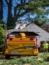 Associated Arborists