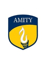 Amity Global Institute