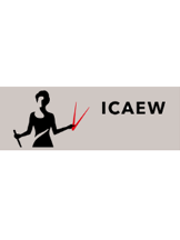 ICAEW ACA Certification - ICAEW Singapore