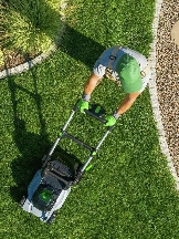 Rosenberg Lawn Care & Landscaping