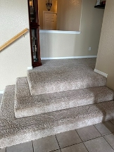 Brands,  Businesses, Places & Professionals Zerorez Carpet Cleaning in Denver CO