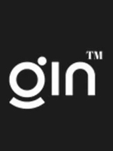 Brands,  Businesses, Places & Professionals GIN e-bikes in Reading England