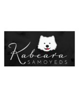 Kabeara Samoyeds