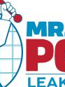 Brands,  Businesses, Places & Professionals Mr. Pool Leak Repair in Dallas TX