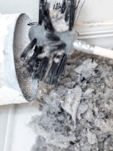 Aurora Dryer Vent Cleaning