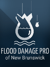 Brands,  Businesses, Places & Professionals Flood Damage Pro of New Brunswick in New Brunswick 