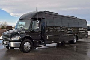 Mini Bus Express: Your Convenient Transportation Solution