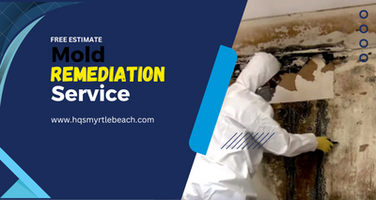 Get a Free Estimate on Mold Remediation!