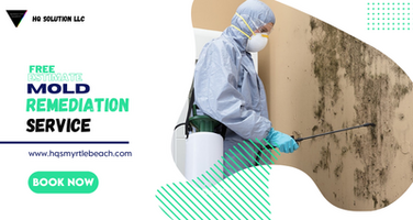 Get a Free Estimate on Mold Remediation!