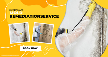 Receive a Free Mold Remediation Estimate!