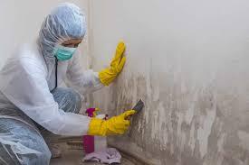 Comprehensive Mold Removal Services in Myrtle Beach: Restoring Your Home’s Safety and Comfort