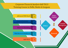 Financial Modeling Course in Delhi, 110080. Best Online Live Financial Analyst Training in Bhopal by IIT Faculty , 100% Job in MNC] 