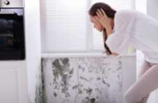 Symptoms and Signs of Mold Issues
