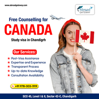 Which is the Best Language Test for Canada Study Visa?