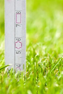 Recommended Michigan Lawn Cut Heights