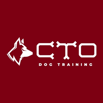 5 Reasons To Have Your Dog Trained