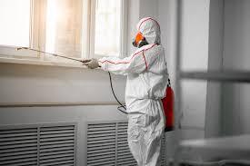 Mold Removal Services in Myrtle Beach: Ensuring a Healthy Living Environment