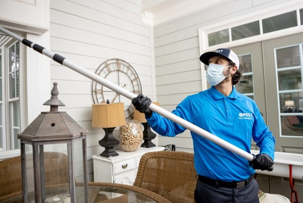 Important Considerations for Selecting a Pest Control Company