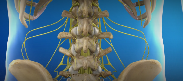 Spinal Reconstruction Surgery in Hackensack, NJ