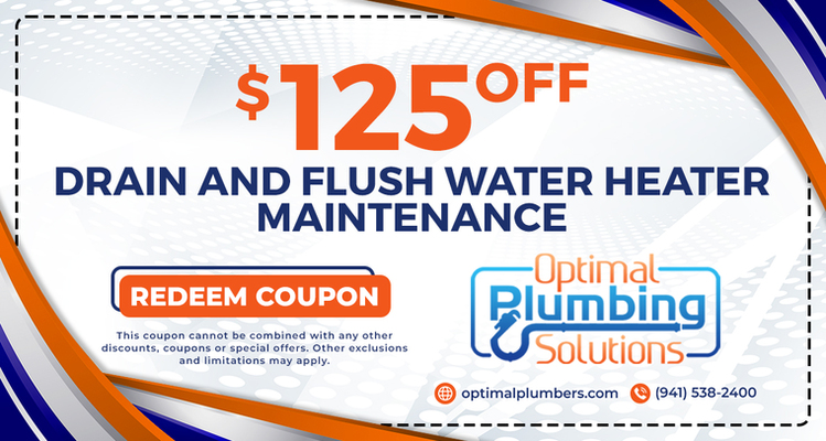 $125 OFF DRAIN AND FLUSH WATER HEATER MAINTENANCE