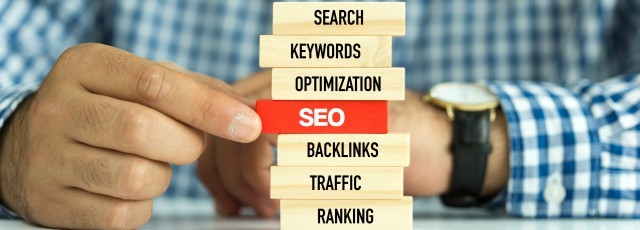 GRAB UP THE SEO SERVICES NOW